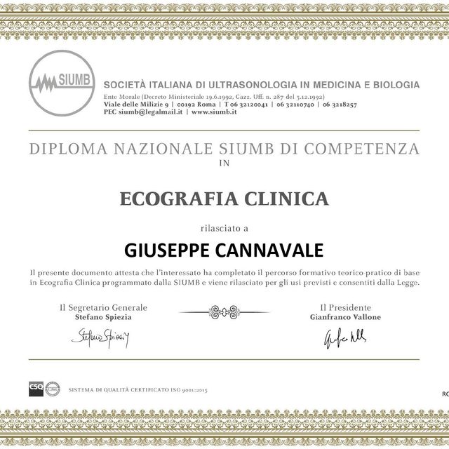 Ingrandire l'immagine: certificate 1