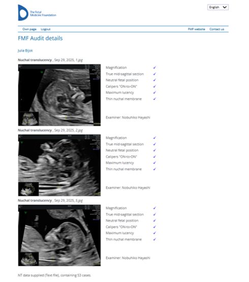 Powiększ obraz: certificate 4