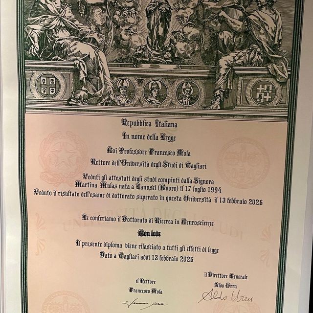 Ingrandire l'immagine: certificate 2