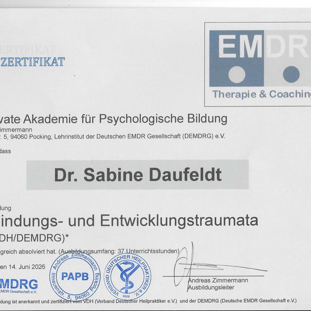 Bild vergrößern: certificate 5