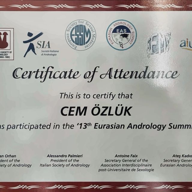 Resmi büyüt: certificate 6