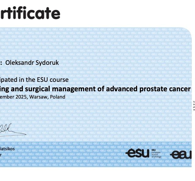 Powiększ obraz: certificate 4