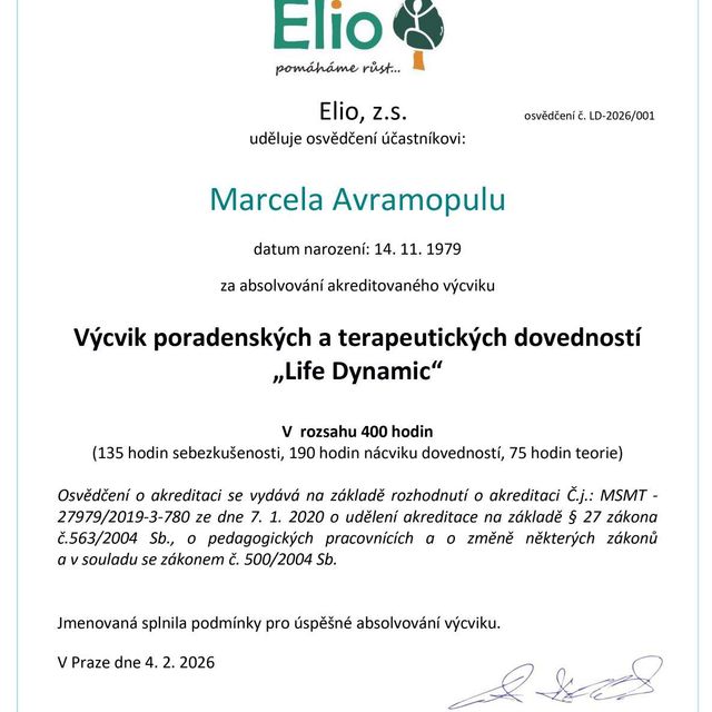 Zvětšit obrázek: certificate 1