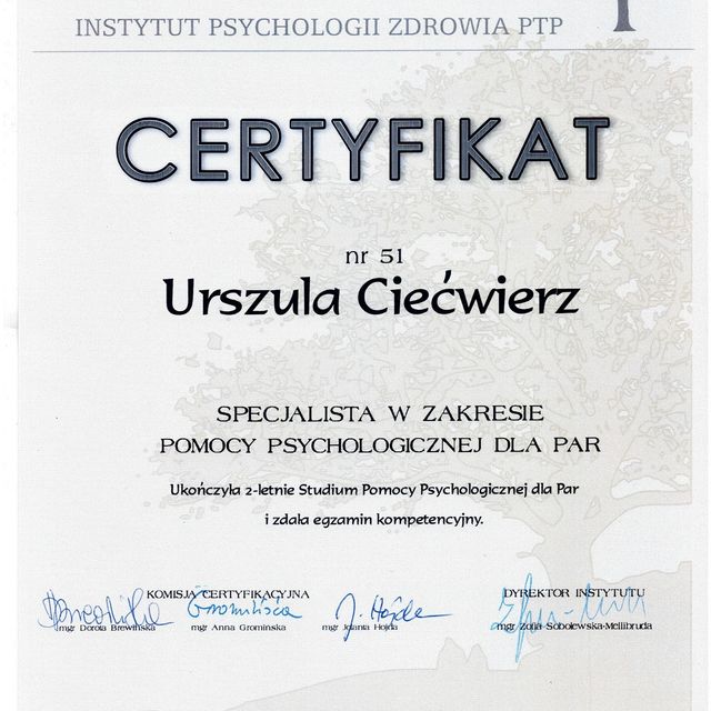 Powiększ obraz: certificate 9