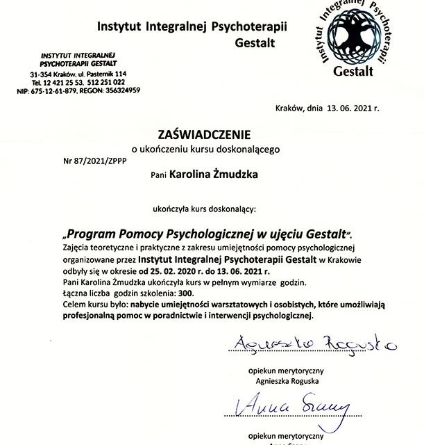 Powiększ obraz: certificate 1