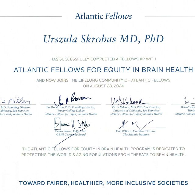 Powiększ obraz: certificate 3