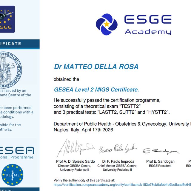 Ingrandire l'immagine: certificate 1