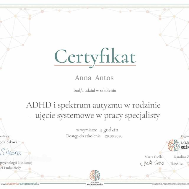 Powiększ obraz: certificate 3