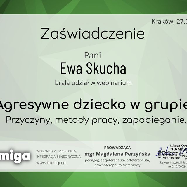 Powiększ obraz: certificate 2