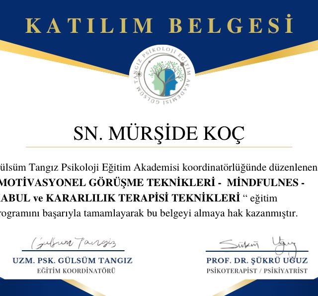 Resmi büyüt: certificate 6