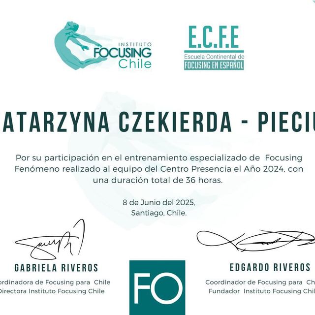 Powiększ obraz: certificate 5