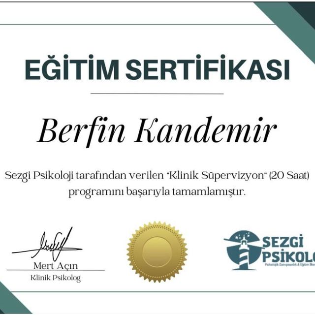 Resmi büyüt: certificate 12