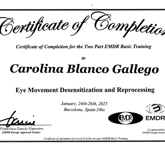 Acercar imagen: certificate 11