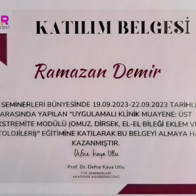 Resmi büyüt: certificate 25