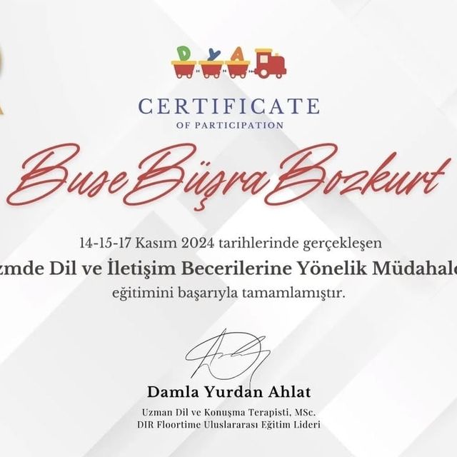 Resmi büyüt: certificate 8
