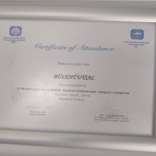 Resmi büyüt: certificate 1