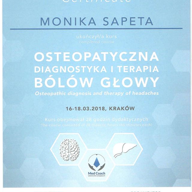 Powiększ obraz: certificate 7