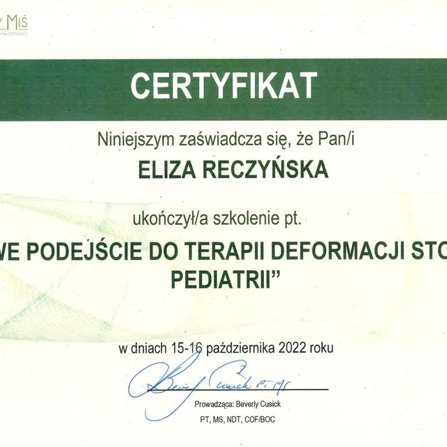 Powiększ obraz: certificate 7