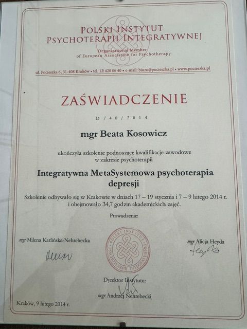 Powiększ obraz: certificate 1