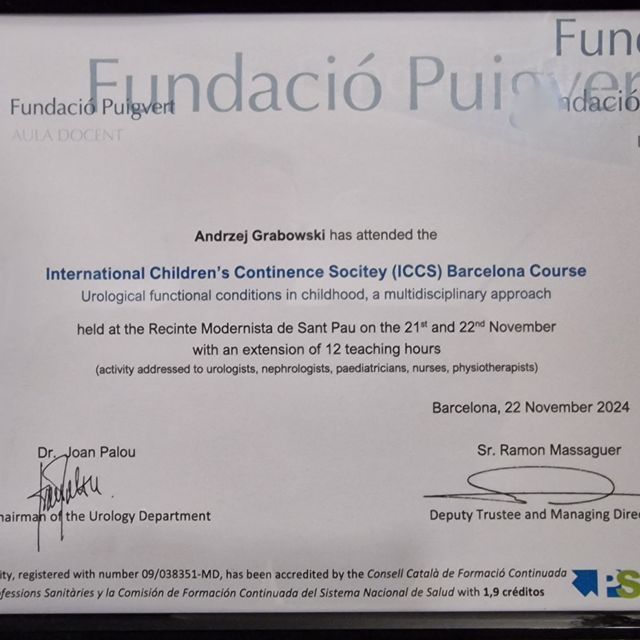 Powiększ obraz: certificate 1