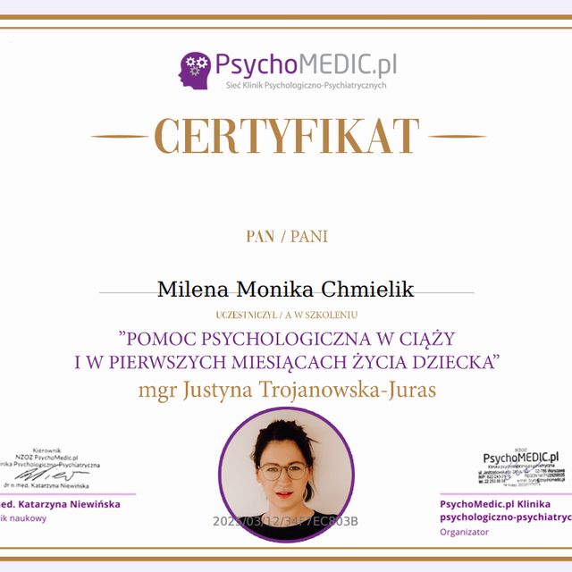 Powiększ obraz: certificate 48