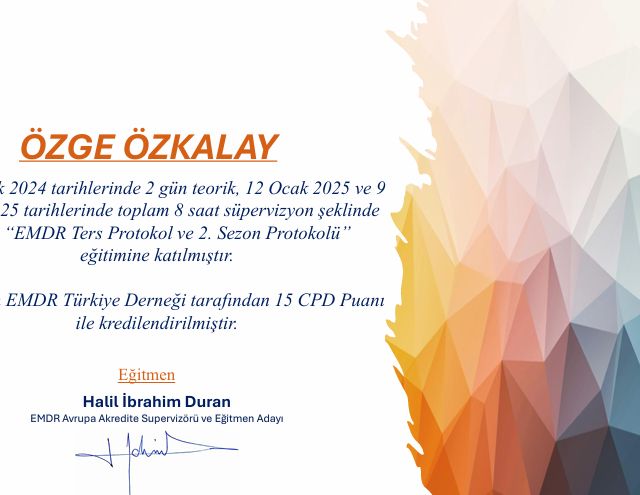 Resmi büyüt: certificate 8