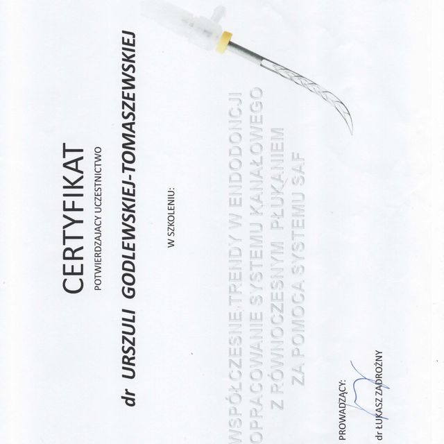 Powiększ obraz: certificate 88