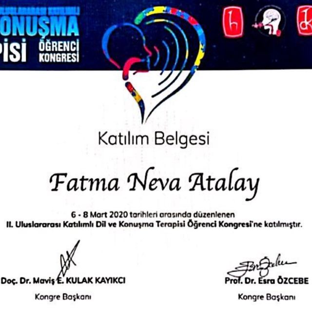 Resmi büyüt: certificate 8