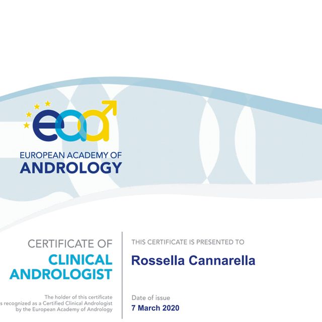 Ingrandire l'immagine: certificate 1