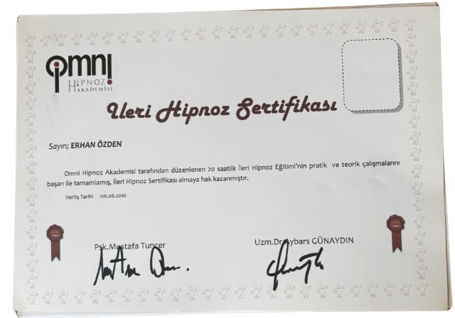 Resmi büyüt: certificate 13