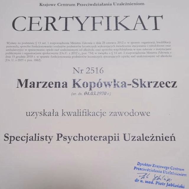 Powiększ obraz: certificate 1