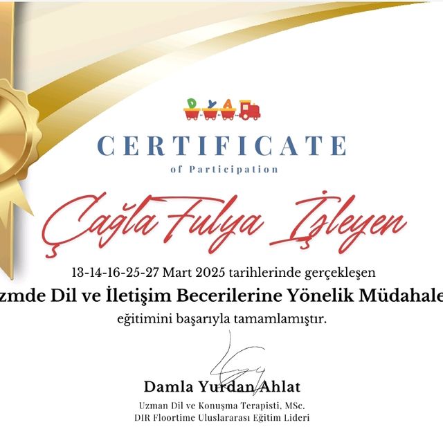 Resmi büyüt: certificate 34