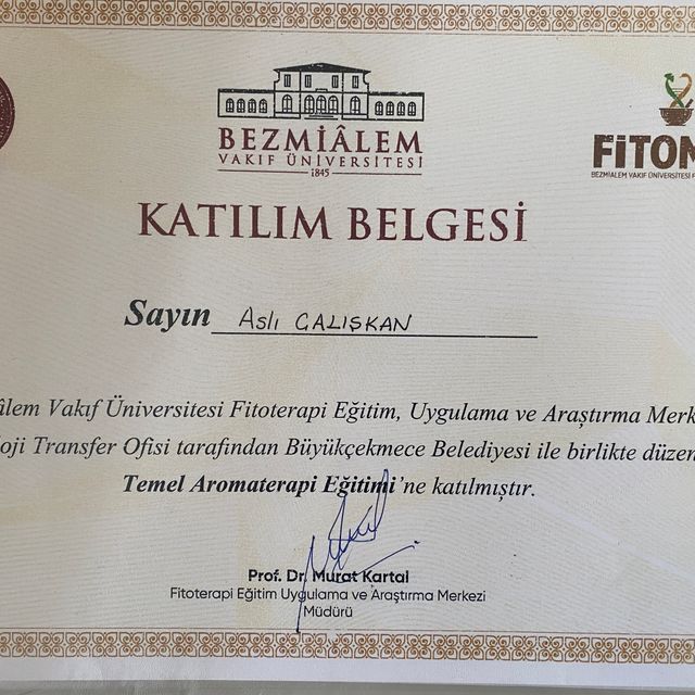 Resmi büyüt: certificate 2