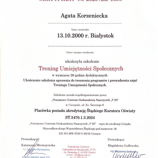 Powiększ obraz: certificate 2