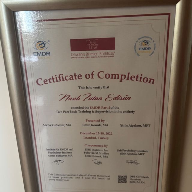 Resmi büyüt: certificate 11