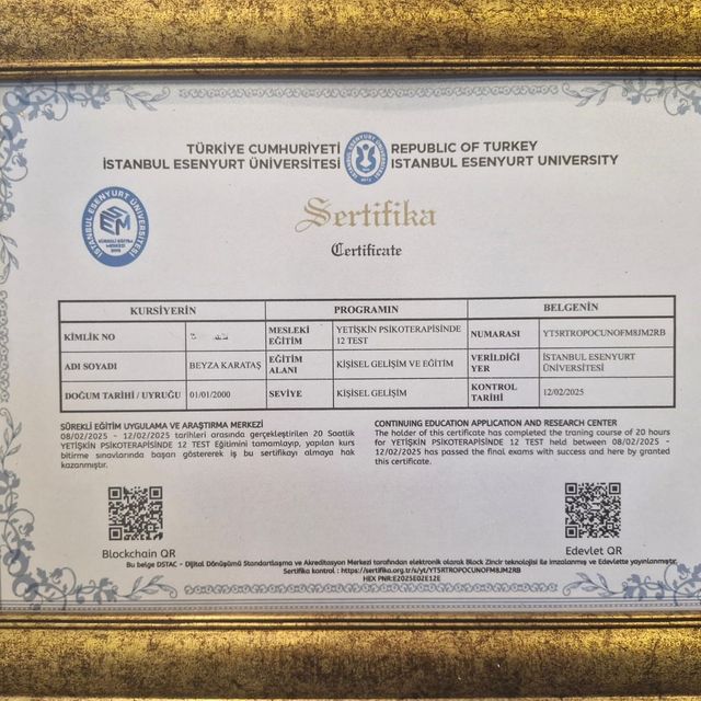 Resmi büyüt: certificate 1