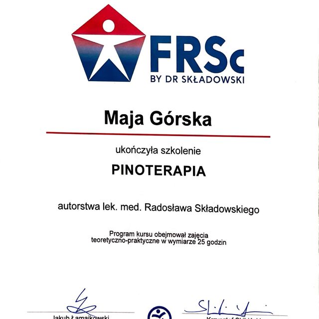 Powiększ obraz: certificate 11