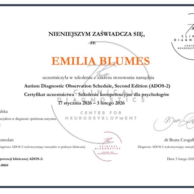 Powiększ obraz: certificate 1