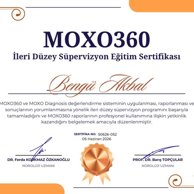Resmi büyüt: certificate 8