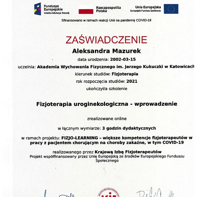 Powiększ obraz: certificate 7