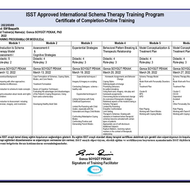 Resmi büyüt: certificate 1