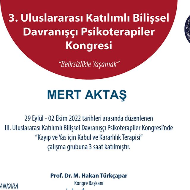 Resmi büyüt: certificate 1