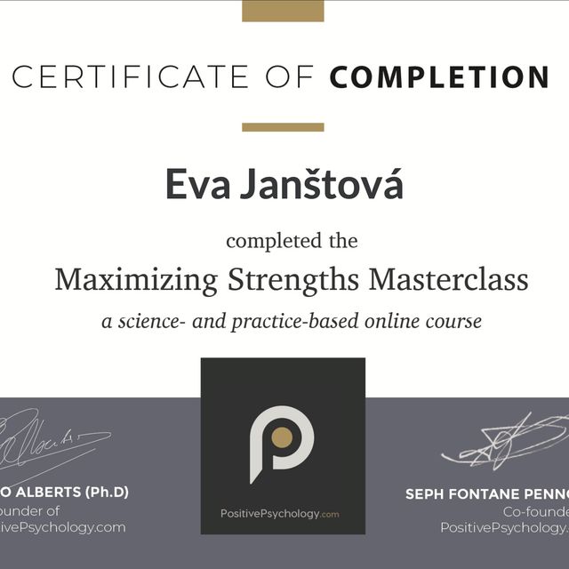 Zvětšit obrázek: certificate 3