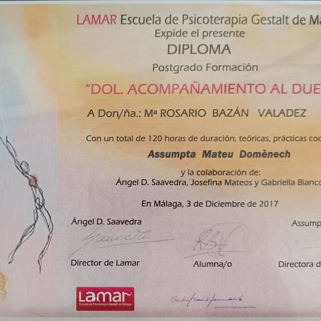 Acercar imagen: certificate 5