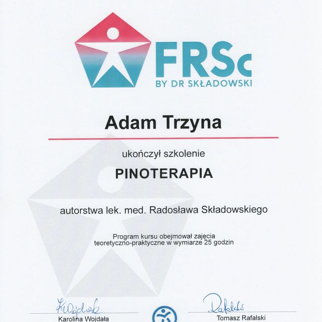 Powiększ obraz: certificate 7