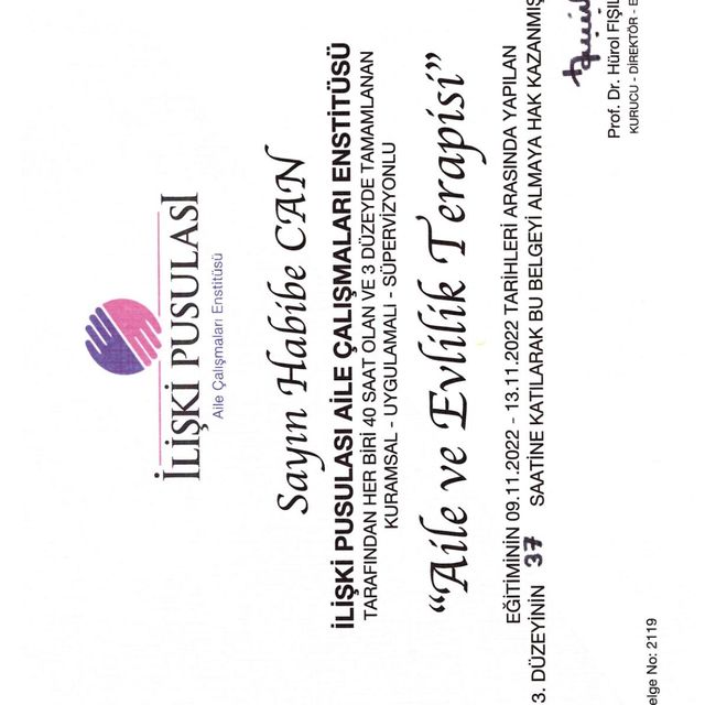 Resmi büyüt: certificate 6