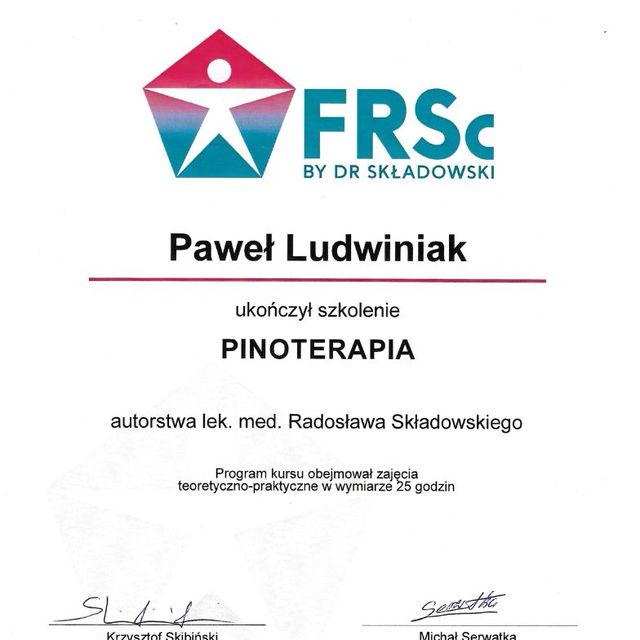 Powiększ obraz: certificate 4