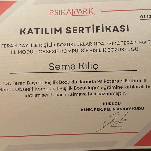 Resmi büyüt: certificate 12