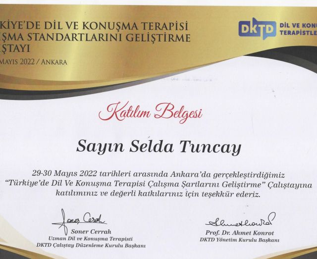 Resmi büyüt: certificate 13