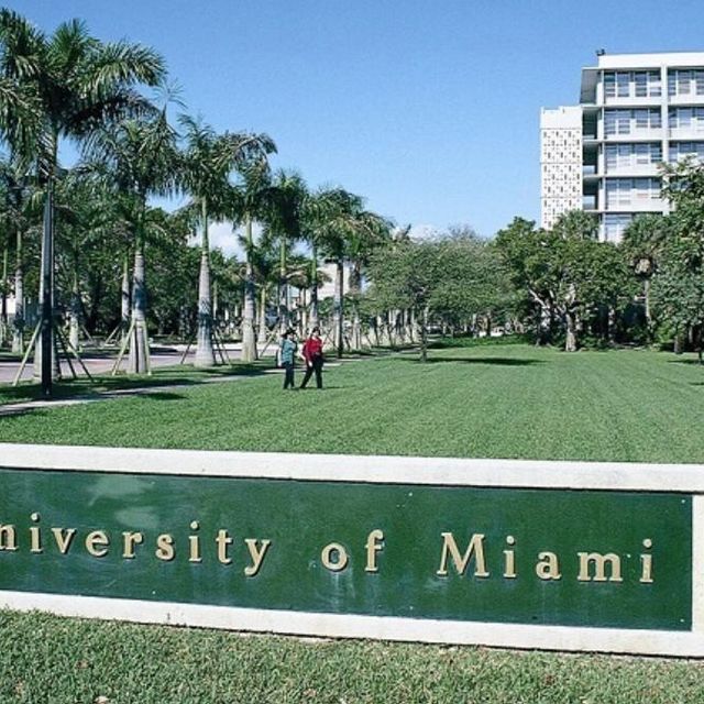 Acercar imagen: certificate 6